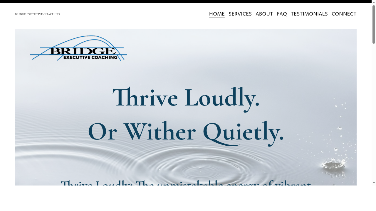 Bridge Executive Leadership Coaching San Luis Obispo County | Santa Barbara County | USA