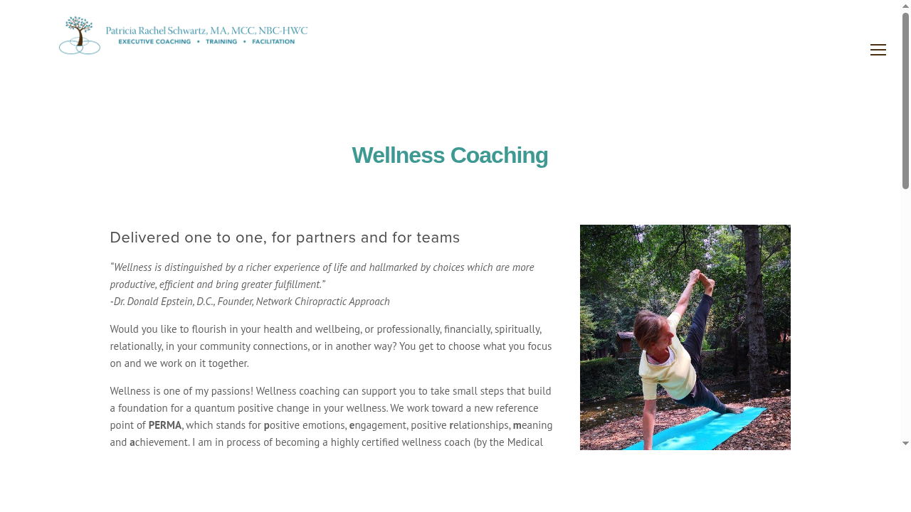 Wellness Coaching — Patricia Schwartz Leadership Coaching