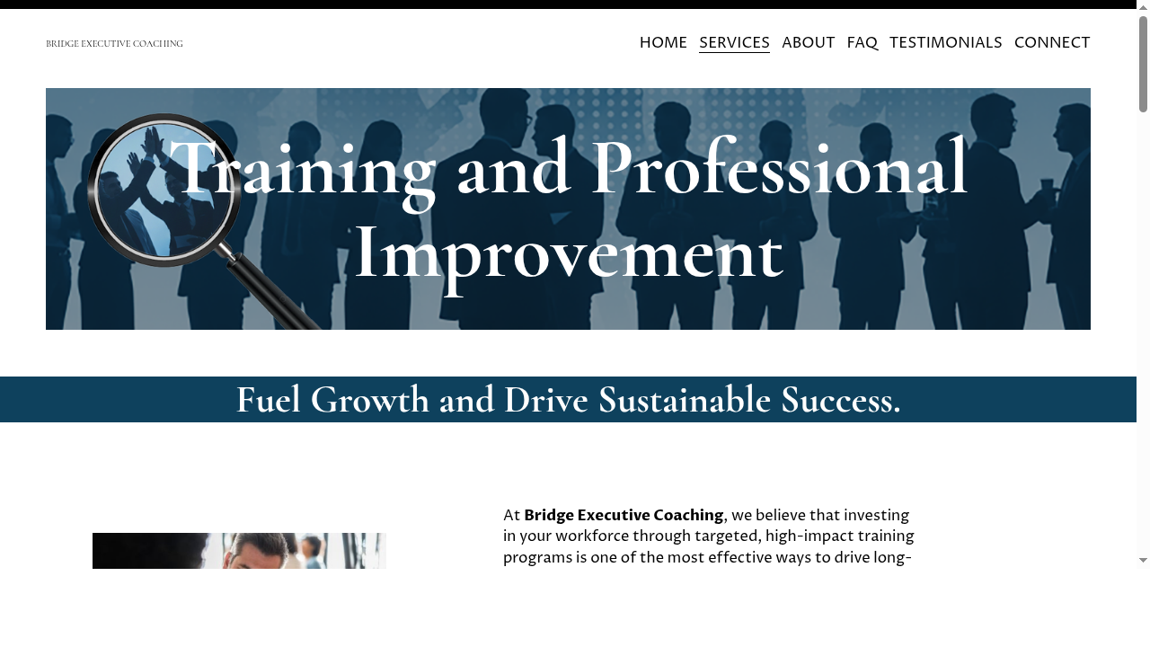 Leadership Coaching - Conflict Management - Strategic Coaching | San Luis Obispo County | USA — BRIDGE EXECUTIVE COACHING