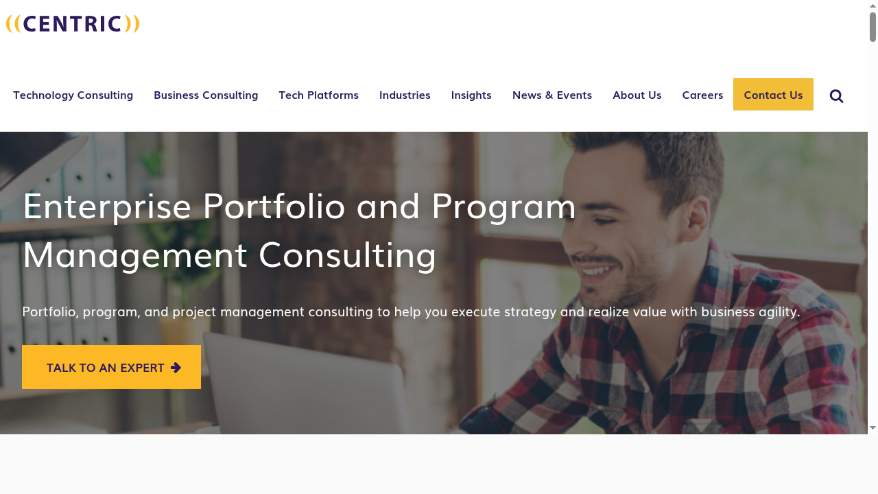 Enterprise Portfolio and Program Management Consulting - Centric Consulting
