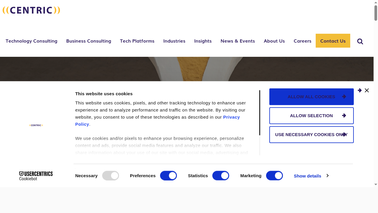 Public Sector Consulting Services - Centric Consulting