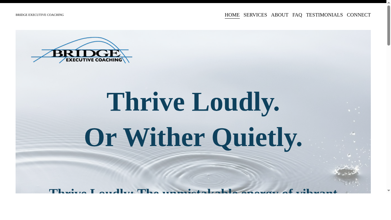 Bridge Executive Leadership Coaching San Luis Obispo County | Santa Barbara County | USA