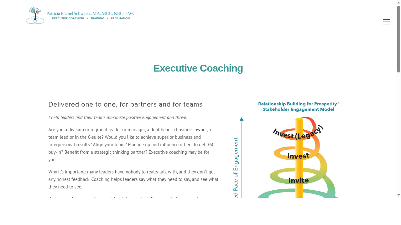 Executive Coaching — Patricia Schwartz Leadership Coaching